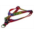 Fly Free Zone,Inc. Leopard Dog Harness; Rainbow - Small FL124402